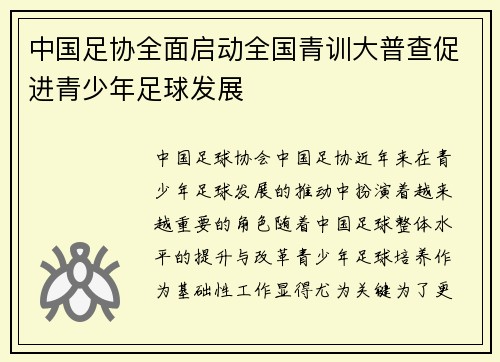 中国足协全面启动全国青训大普查促进青少年足球发展